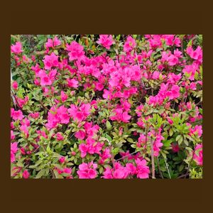 在我身旁（prod.Keerad）