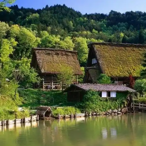 永远向阳，不见花香也见草长-那仁