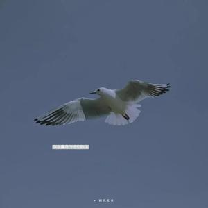 全是爱（翻自 要不要买菜）