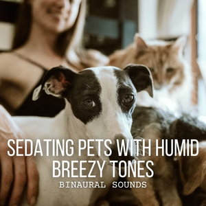 Serene Mountain Hues