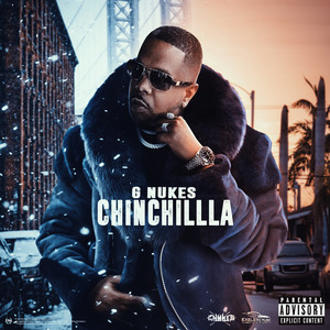 Chinchilla