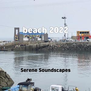 beach 2022