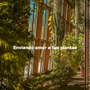 Quartet Jazz Soundtrack for Feel Good Mixes