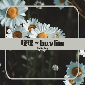 玫瑰 _Guvlim