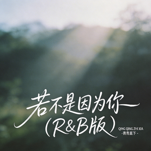 若不是因为你（R&B版）