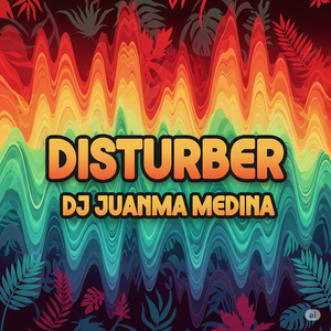 Disturber (Radio Edit)