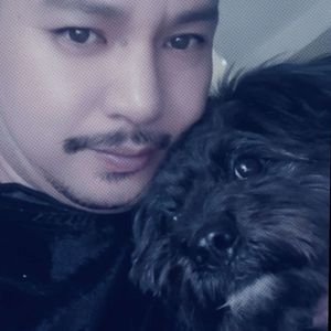 该放手了_龙建锋