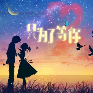 只为了等你