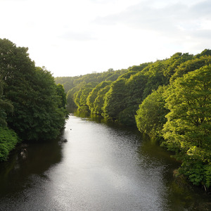 The silence of the waves