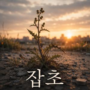 잡초