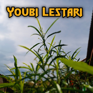 Malam Itu Indah