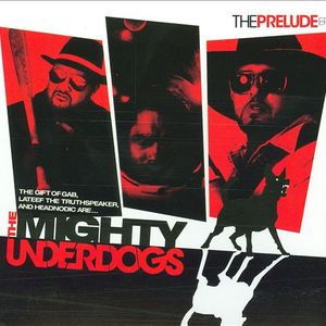 Ufc (United Flow Champions)