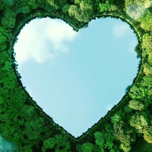 我生命中灵魂之歌