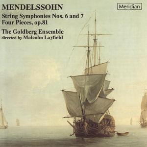 4 Pieces for String Quartet, Op. 81: No. 1, Tema con Variazioni. Andante Sostenuto in E Major