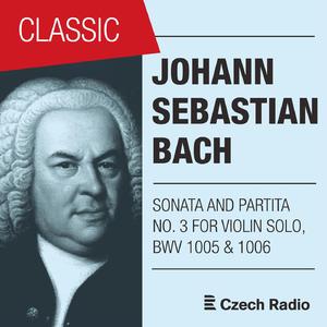 Sonata No. 3 in C Major, BVW 1005: III. Largo