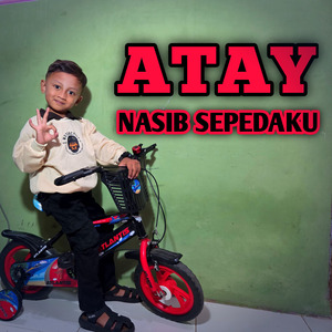 Nasib Sepedaku