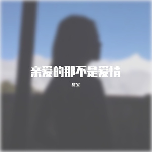 张韶涵-亲爱的那不是爱情（甜宝 remix）