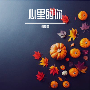 冬雪飘落（DJ版）