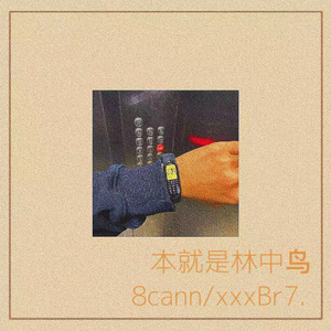 本就是林中鸟