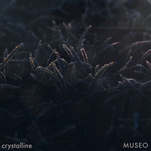 Crystalline (Rain)