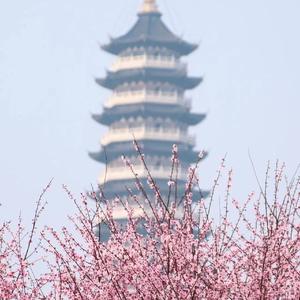 CHANGE THE WORLD(犬夜叉OP）