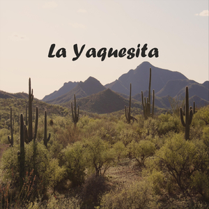 La Yaquesita