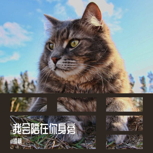 我会陪在你身旁