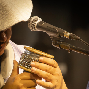 Lidando Neste Rincão (Studio)