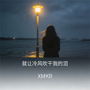 就让冷风吹干我的泪（温柔版）