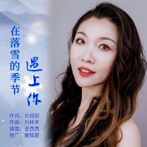 在落雪的季节遇上你