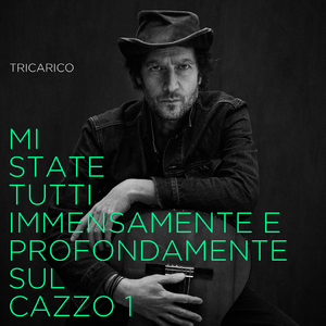 Mi state tutti immensamente e profondamente sul cazzo 1