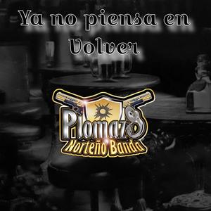 Ya no piensa en volver