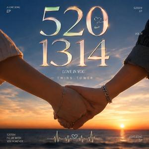 2026 最新浪漫爱情歌曲 《5201314》