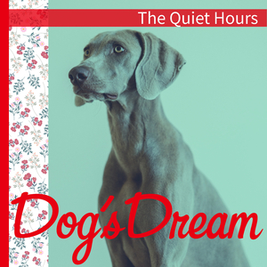 The Things in His Head