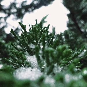 What2do（Uaehua Cr.）