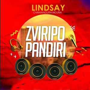 Zviripo Pandiri