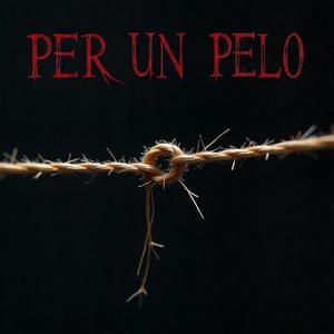 Per un pelo