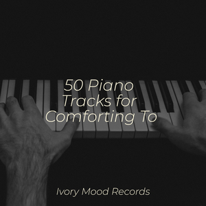 Solitary Reflections Echo On