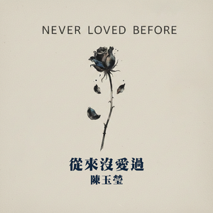 从来没爱过