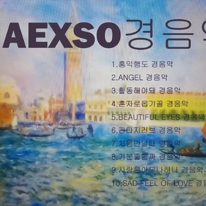 판타지러브 경음악