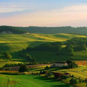 绿荫下的田野 (5)