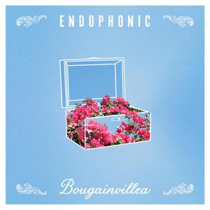 Bougainvillea