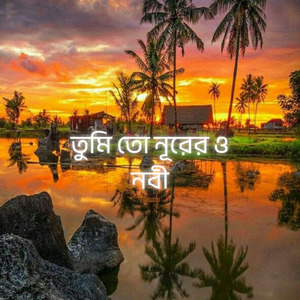 তুমি যে নূরের নবী