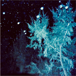 梦的第三道关口