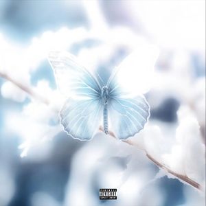 为什么杭州不下雪