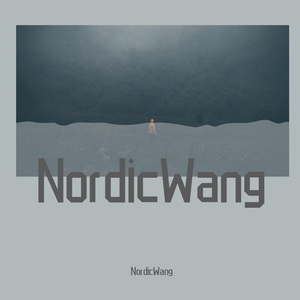 雪 Distance（NordicWang Remix）