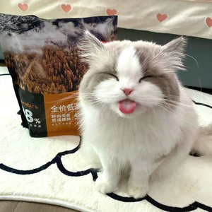 All Falls Down (slowed)