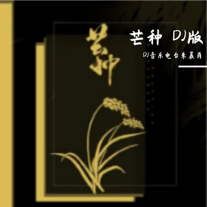 芒种 DJ版