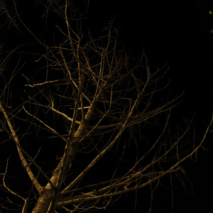 很抱歉你赢了(Prod.By P$YCHO)