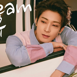AI Seventeen 원우 Dream
